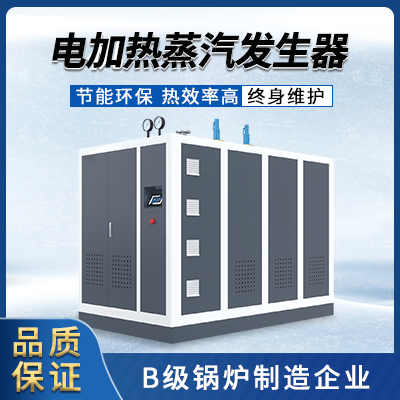 制藥公司使用的蒸汽發(fā)生器.jpg